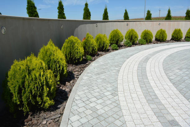 Best Affordable Driveway Pavers  in Montclair, CA